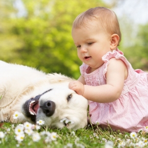 Picture for category Baby & Mother